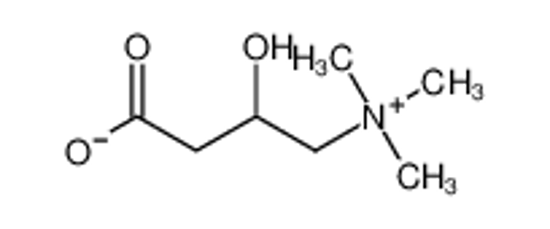 Picture of carnitine