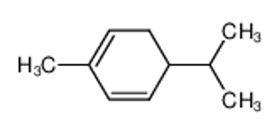 Picture of α-phellandrene