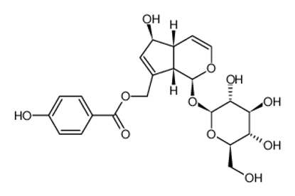 Изображение [(1S,4aR,5S,7aS)-5-hydroxy-1-[(2S,3R,4S,5S,6R)-3,4,5-trihydroxy-6-(hydroxymethyl)oxan-2-yl]oxy-1,4a,5,7a-tetrahydrocyclopenta[c]pyran-7-yl]methyl 4-hydroxybenzoate