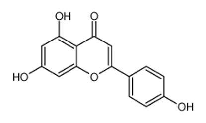 Изображение 5,7-Dihydroxy-2-(4-hydroxyphenyl)-4H-chromen-4-one