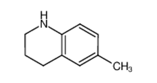 Picture of 6-Methyl-1,2,3,4-tetrahydroquinoline