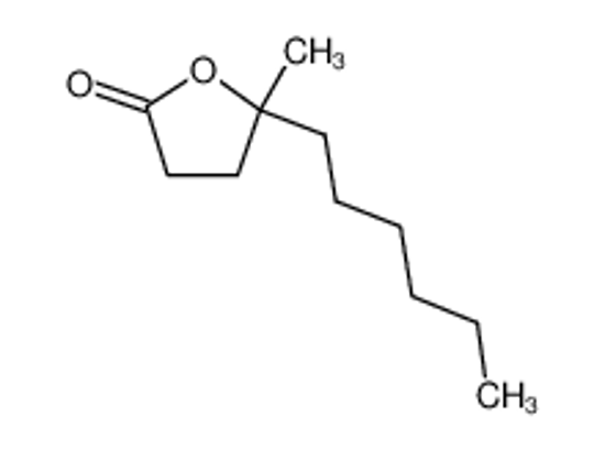Picture of γ-Methyl-γ-decanolactone