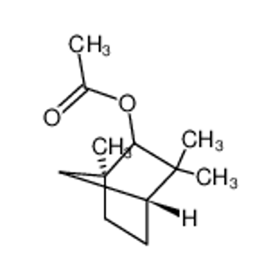 Изображение FENCHYL ACETATE