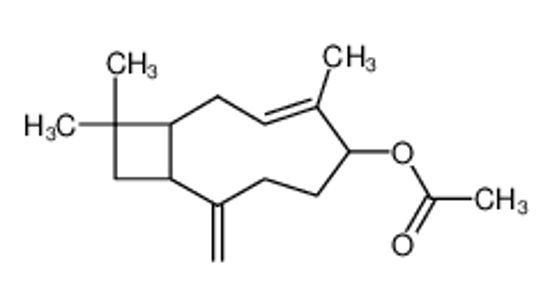 Picture of ACETYL CARYOPHYLLENE