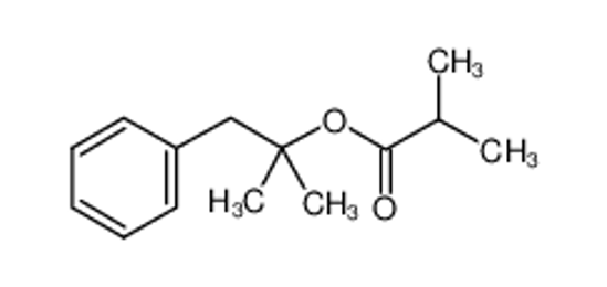 Picture of DIMETHYL BENZYL CARBINYL ISOBUTYRATE