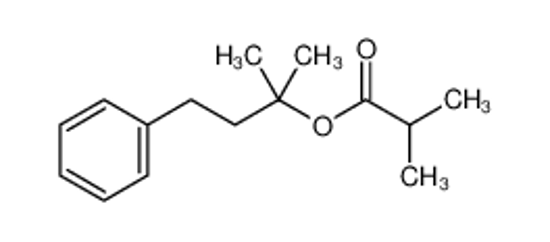 Picture of (2-methyl-4-phenylbutan-2-yl) 2-methylpropanoate