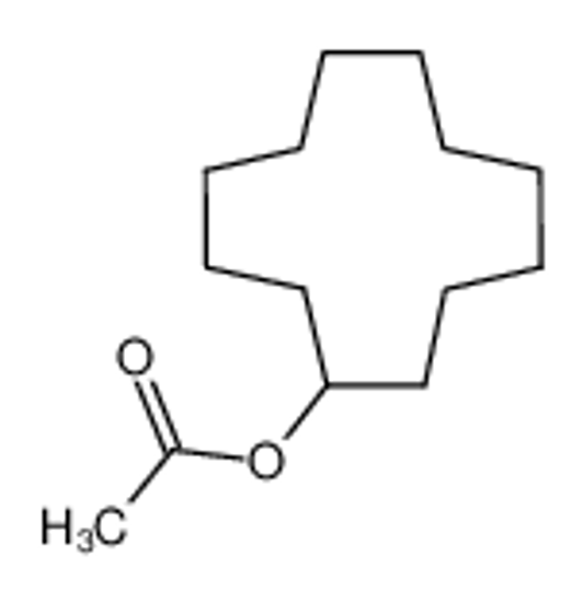 Picture of cyclododecyl acetate