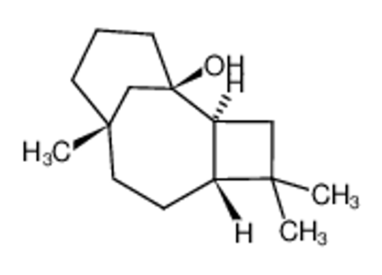 Picture of CARYOPHYLLENE ALCOHOL