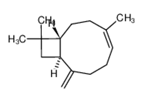 Picture of (1R,4Z,9S)-4,11,11-trimethyl-8-methylidenebicyclo[7.2.0]undec-4-ene