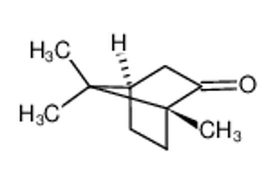Imagem de DL-Camphor