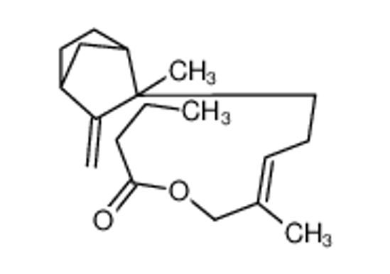 Picture of [2-methyl-5-(3-methyl-2-methylidene-3-bicyclo[2.2.1]heptanyl)pent-2-enyl] butanoate