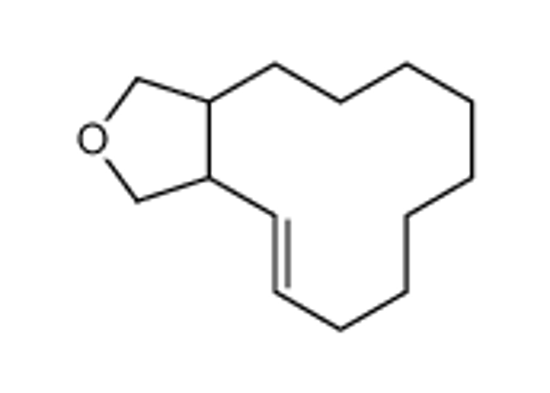 Picture of (4Z)-1,3,3a,6,7,8,9,10,11,12,13,13a-dodecahydrocyclododeca[c]furan