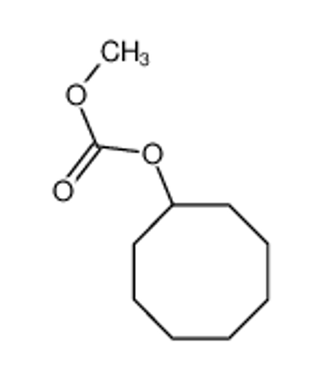 Picture of cyclooctyl methyl carbonate