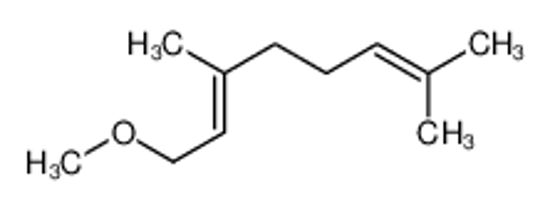 Picture of (2Z)-1-methoxy-3,7-dimethylocta-2,6-diene