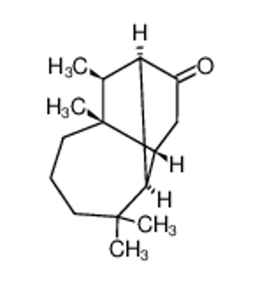 Изображение (1α,3aβ,4α,8aβ,9S*)-octahydro-4,8,8,9-tetramethyl-1,4-methanoazulen-2(1H)-one