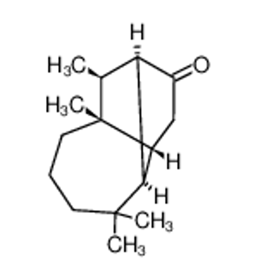 Picture of (1α,3aβ,4α,8aβ,9S*)-octahydro-4,8,8,9-tetramethyl-1,4-methanoazulen-2(1H)-one