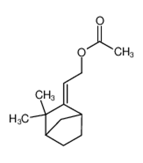 Picture of (E)-ω-Acetoxymethylcamphene