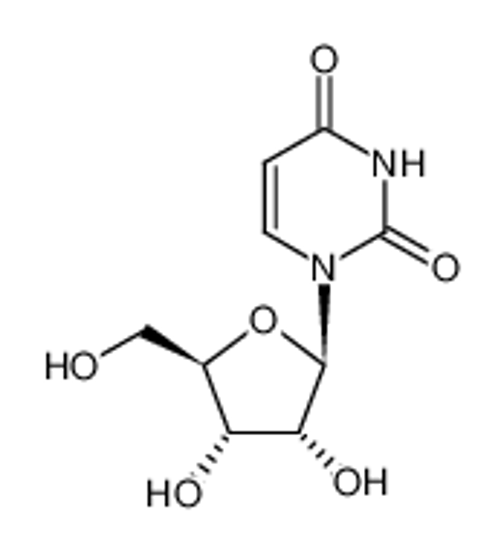 Picture of uridine
