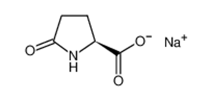 Show details for Sodium L-pyroglutamate