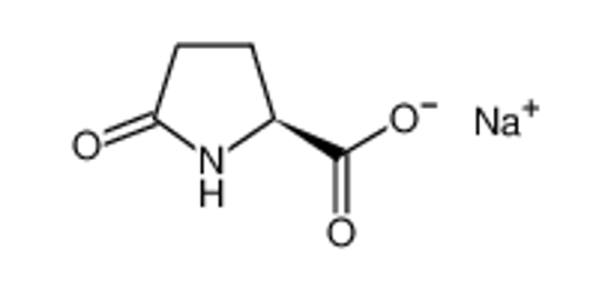 Picture of Sodium L-pyroglutamate