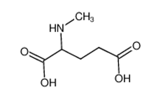 Picture of N-methyl-L-glutamic acid