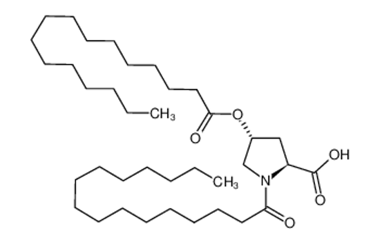 Picture of (2S,4R)-1-hexadecanoyl-4-hexadecanoyloxypyrrolidine-2-carboxylic acid