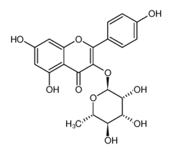 Изображение afzelin