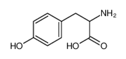 Imagem de (.+-.)-Tyrosine