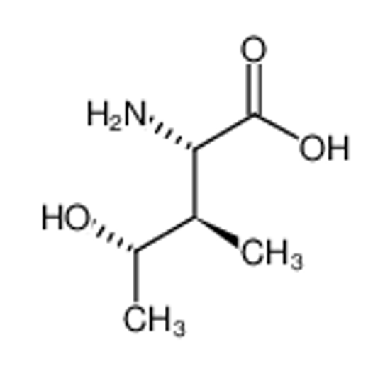 Picture of (4S)-4-hydroxy-L-isoleucine