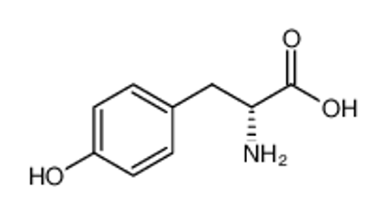 Picture of D-tyrosine