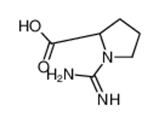 Imagem de (2S)-1-carbamimidoylpyrrolidine-2-carboxylic acid