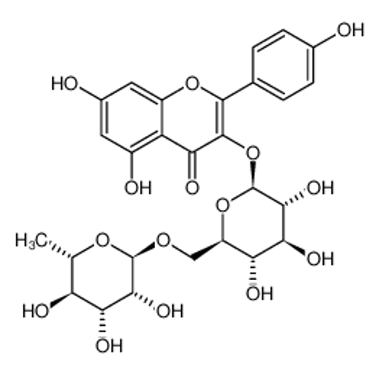 Picture of kaempferol-3-rutinoside