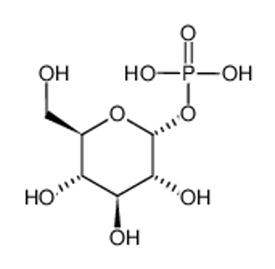 Picture of α-D-glucose 1-phosphate