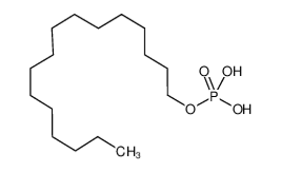 Picture of hexadecyl dihydrogen phosphate