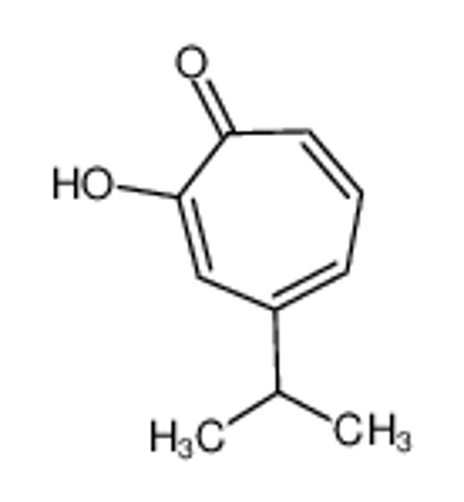 Picture of β-thujaplicin