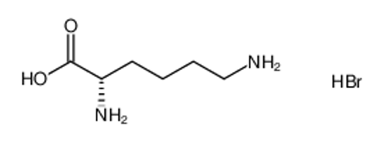 Picture of poly(L-lysine) hydrobromide