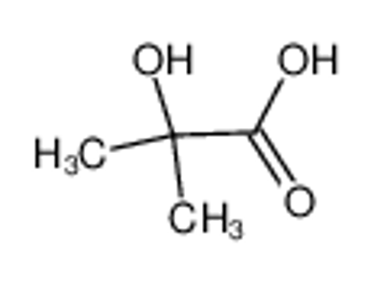 Show details for 2-hydroxyisobutyric acid