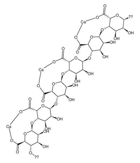 Picture of Alginic Acid Calcium Salt