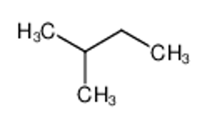 Show details for isopentane