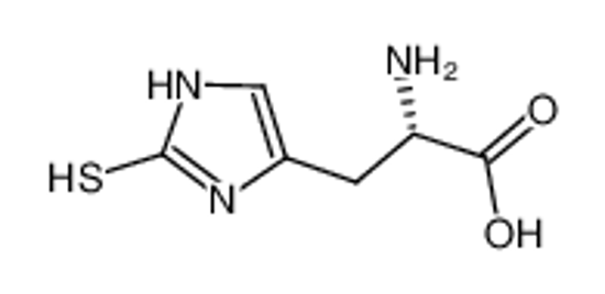 Picture of 2-Mercapto-L-histidine