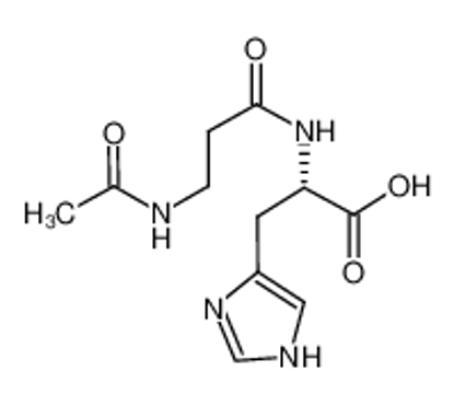 Mostrar detalhes para N-acetylcarnosine