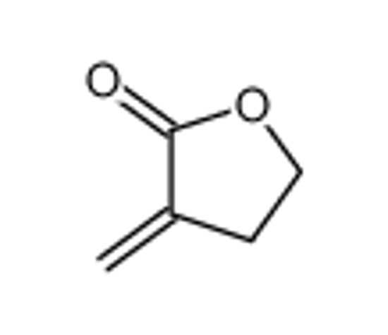 Picture of α-methylene γ-butyrolactone