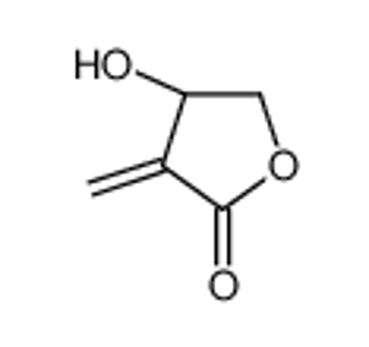 Изображение (4S)-4-Hydroxy-3-methylenedihydro-2(3H)-furanone