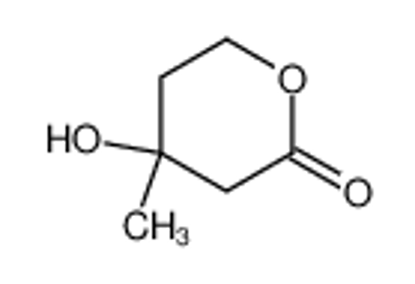 Show details for DL-Mevalonolactone