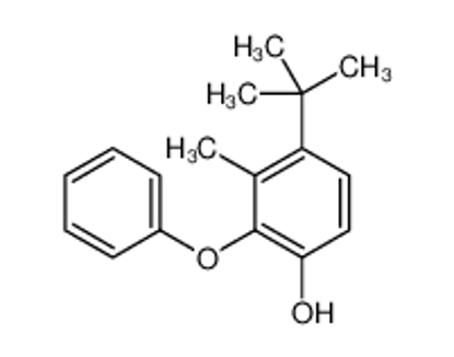 Picture of 4-tert-butyl-3-methyl-2-phenoxyphenol