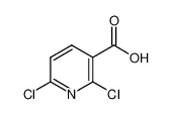 Picture of 2,6-Dichloronicotinic acid