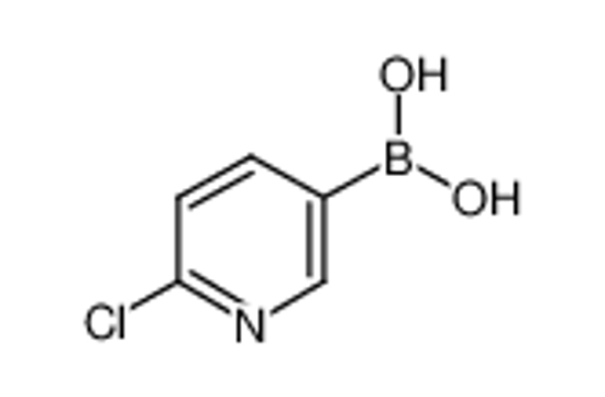 Picture of 2-Chloropyridine-5-boronic acid