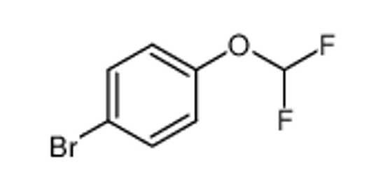 Picture of 1-Bromo-4-(difluoromethoxy)benzene