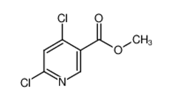 Picture of Methyl 4,6-dichloronicotinate