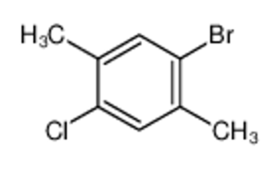Picture of 1-bromo-4-chloro-2,5-dimethylbenzene